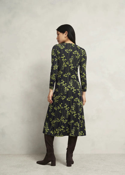 Navy Green