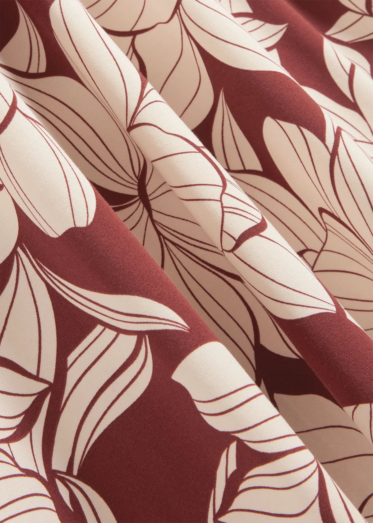 Brown Ivory