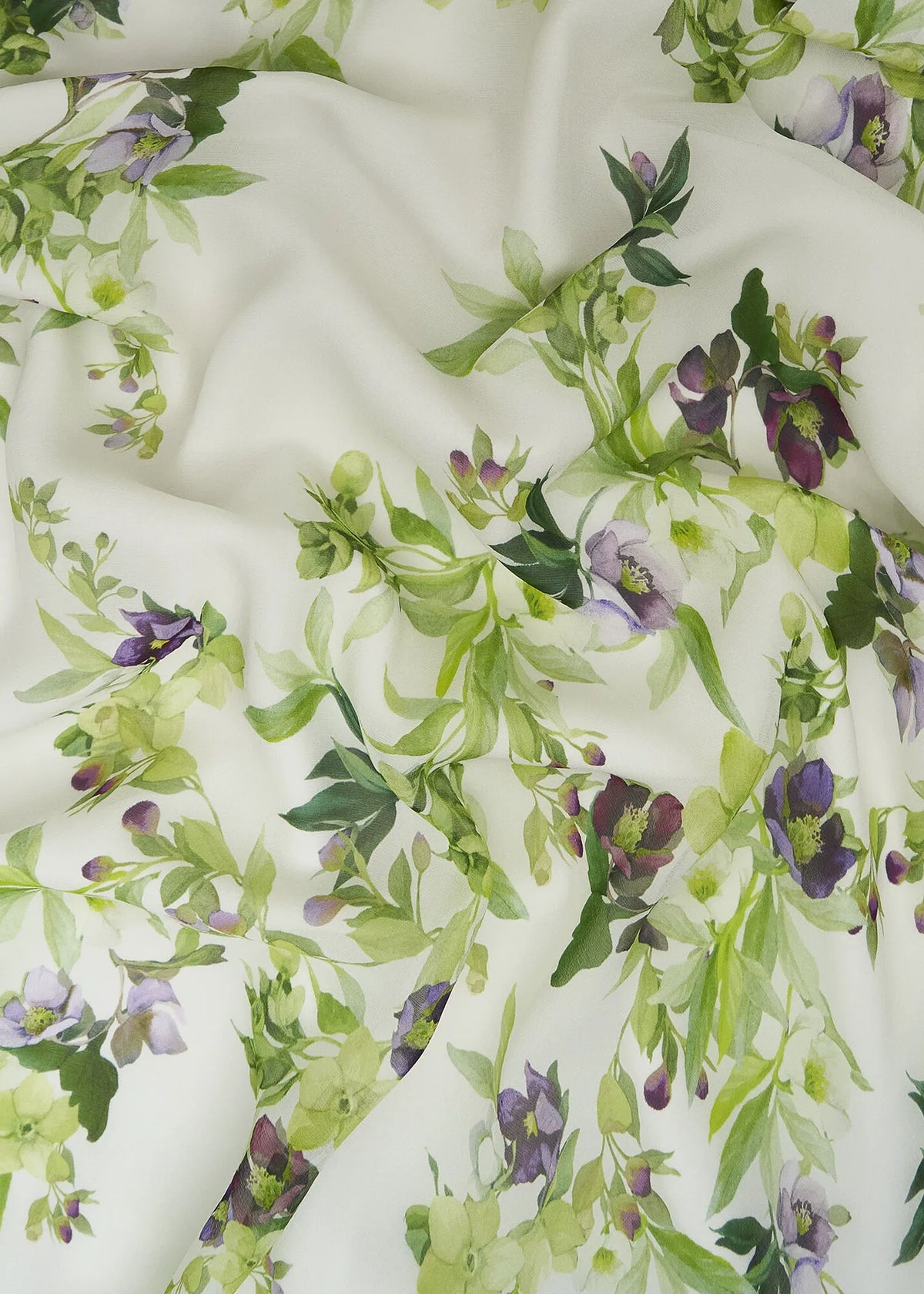 Ivory Multi