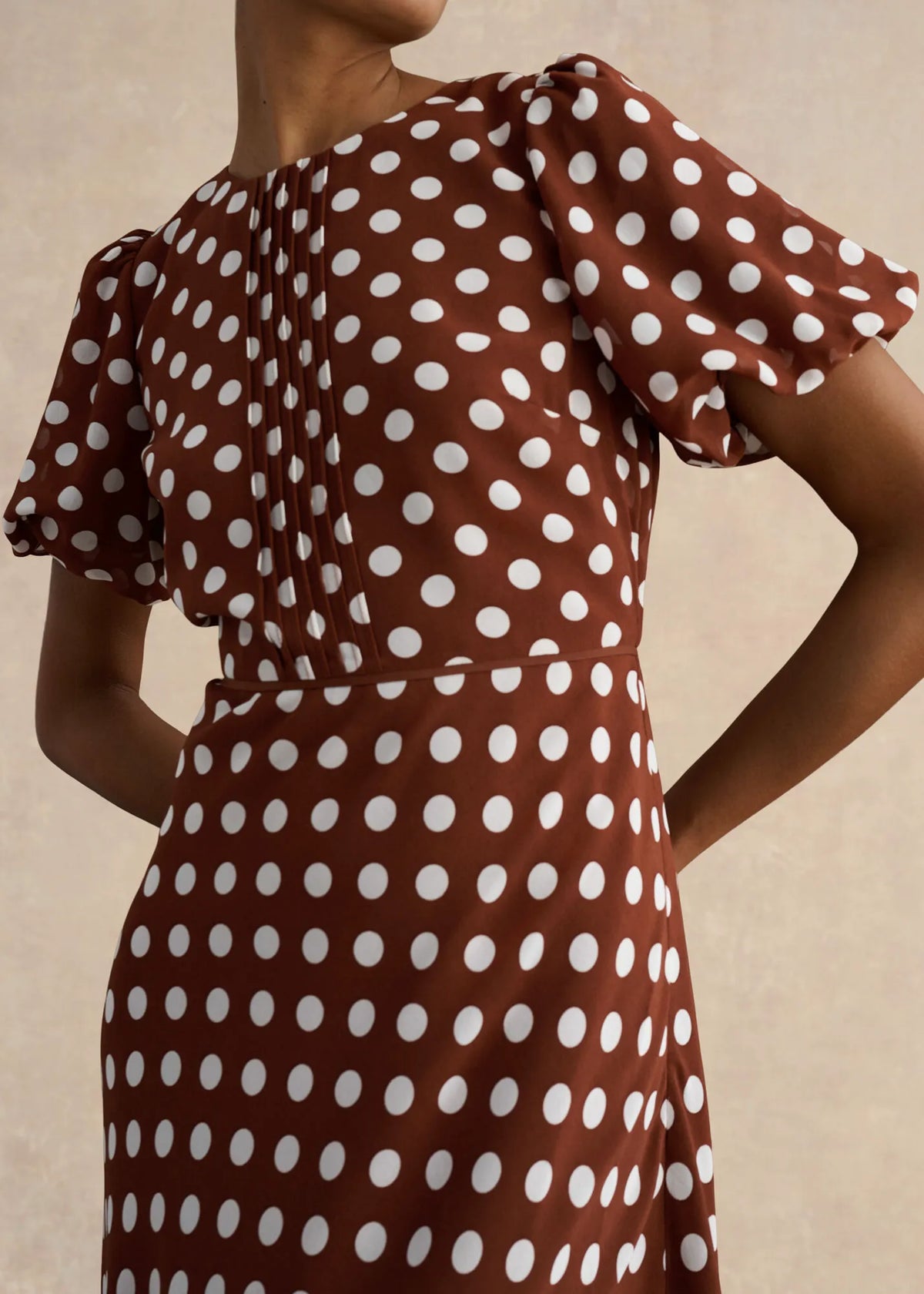 Brown Ivory