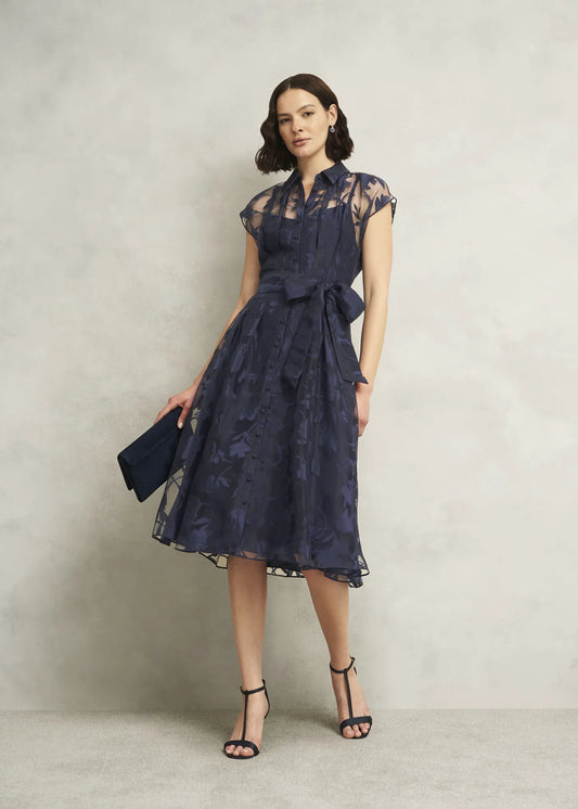 Midnight Navy