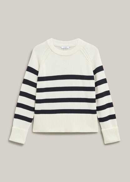 Ivory Navy