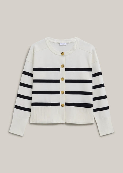 Ivory Navy