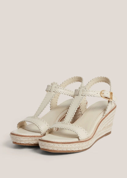 Warm Ivory