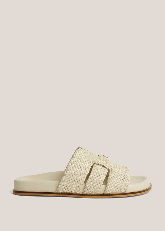 Warm Ivory
