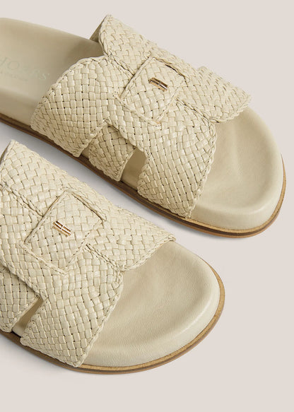 Warm Ivory