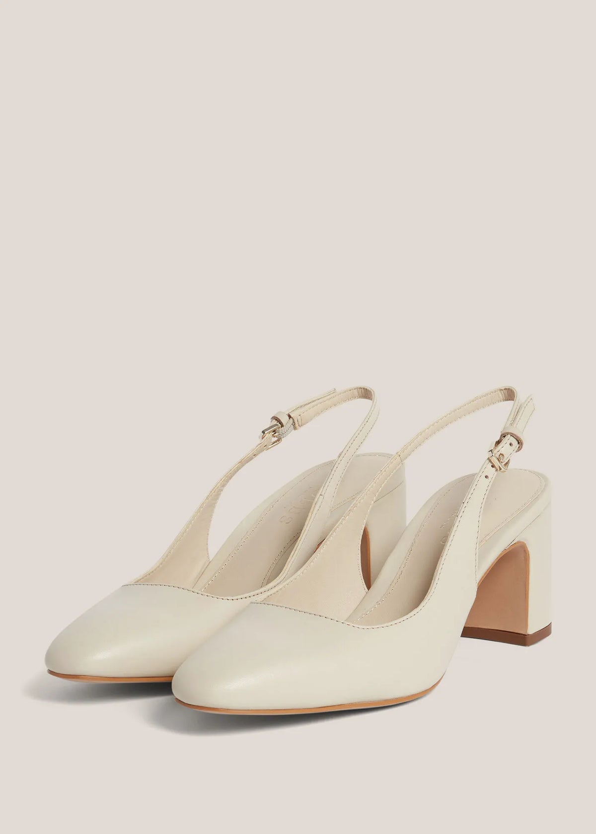 Warm Ivory