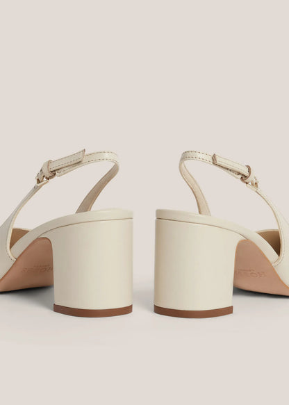 Warm Ivory