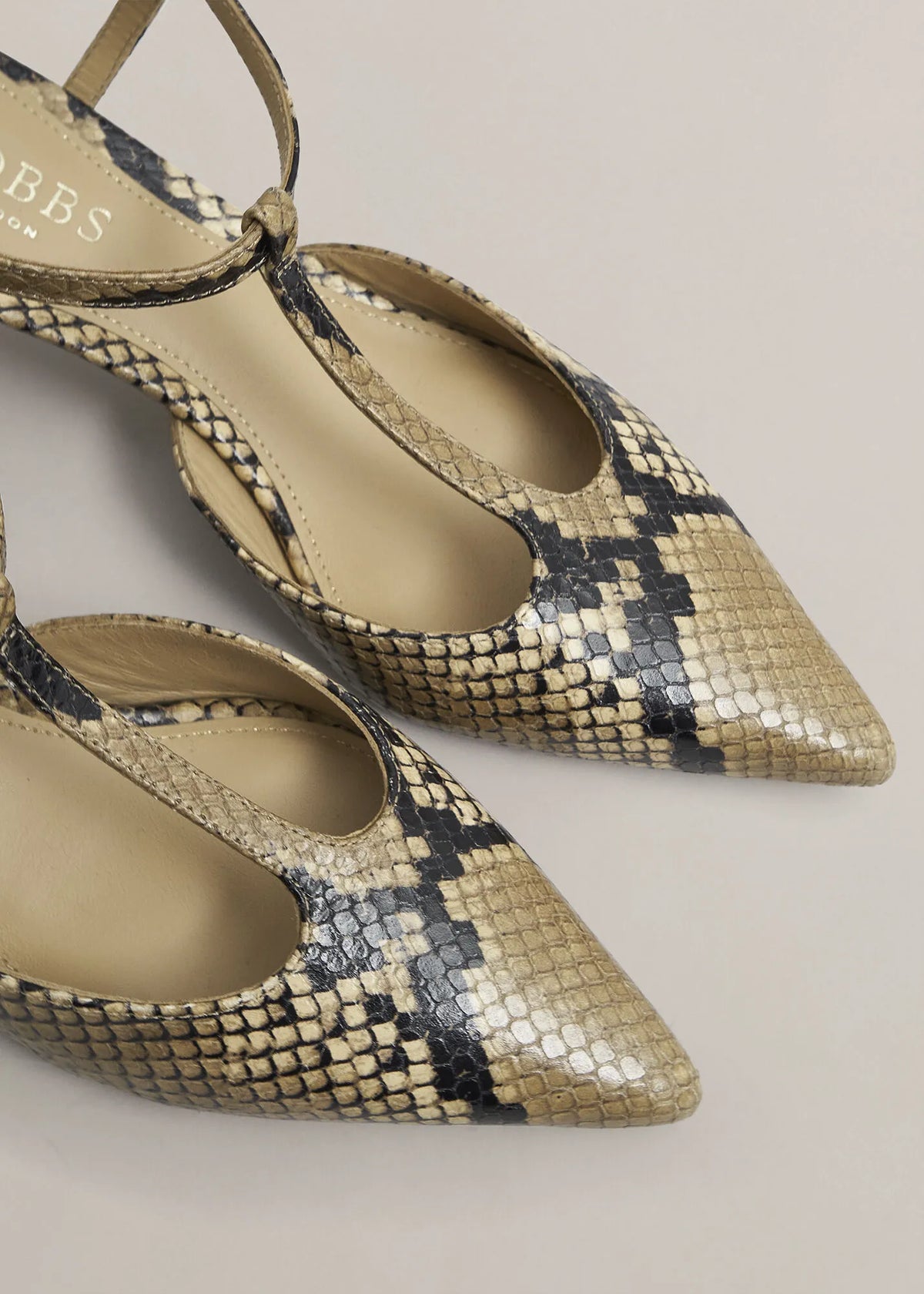 Snakeskin