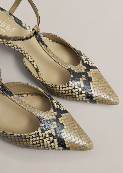 Snakeskin