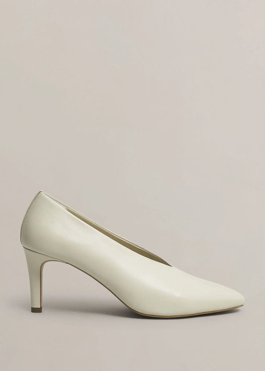 Warm Ivory