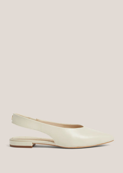 Warm Ivory