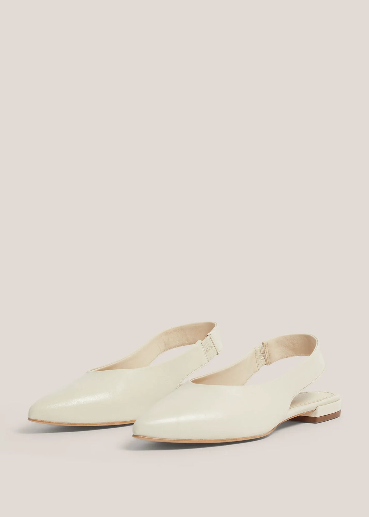 Warm Ivory