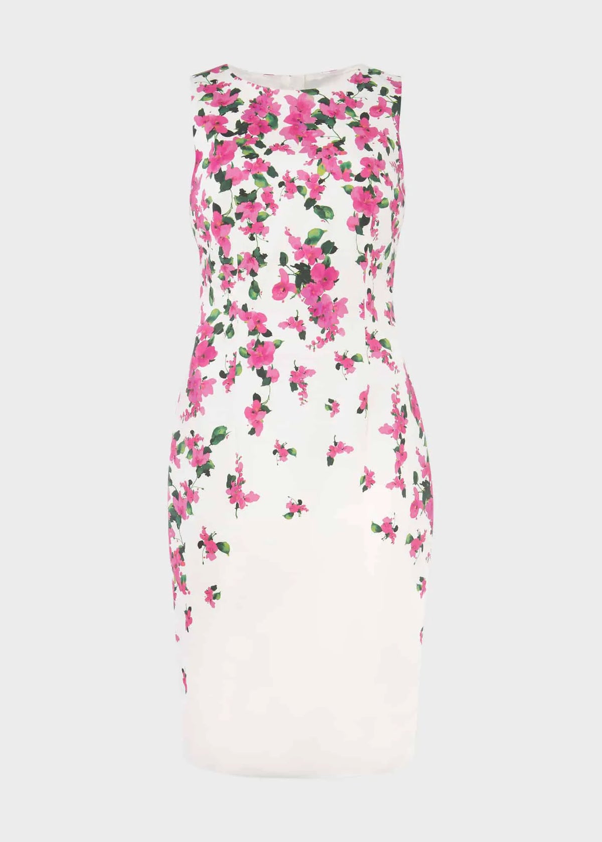Ivory Fuchsia