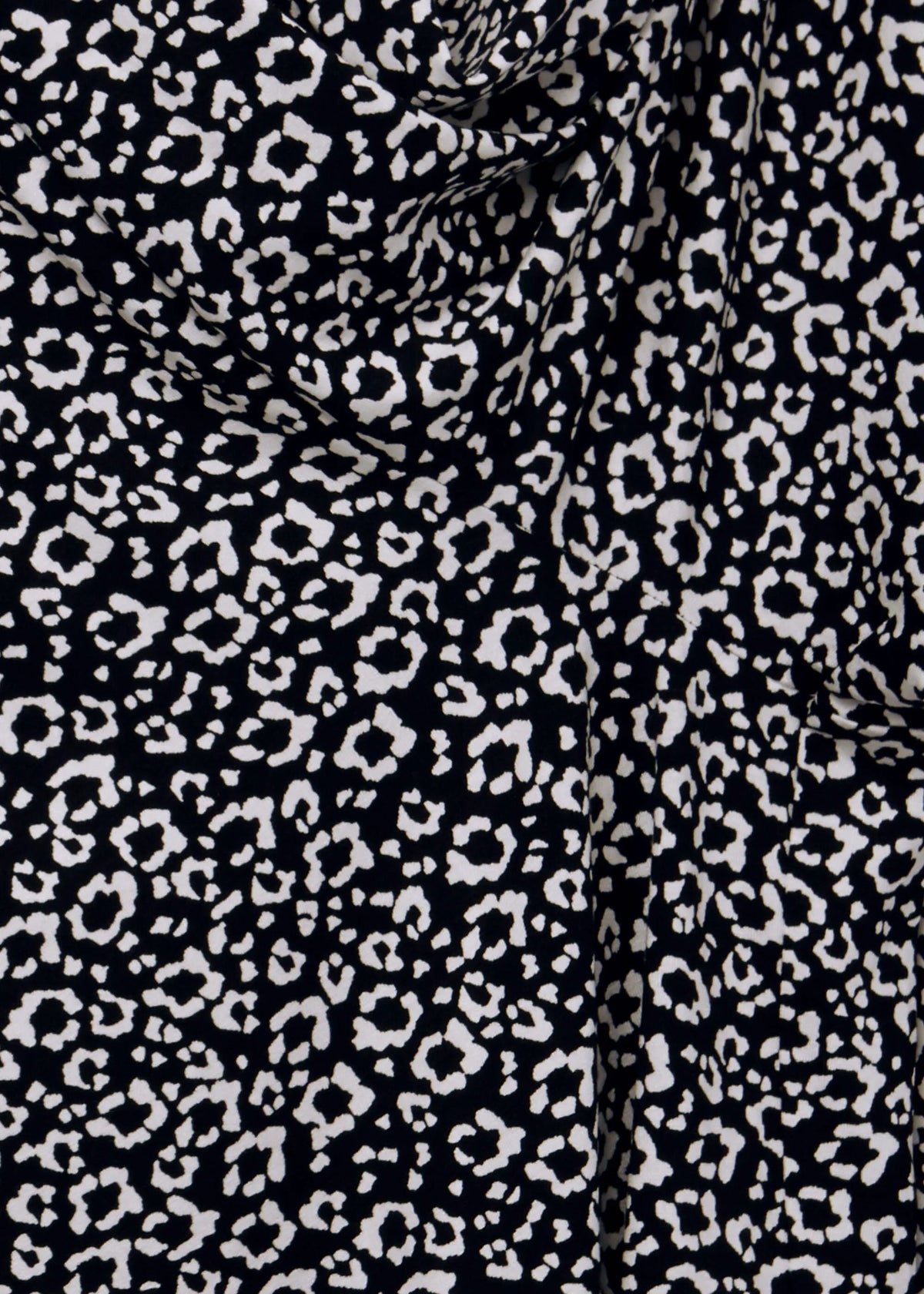 Black Ivory