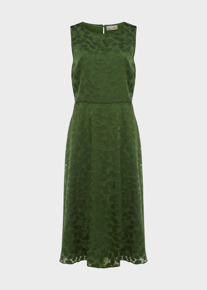 Fern Green