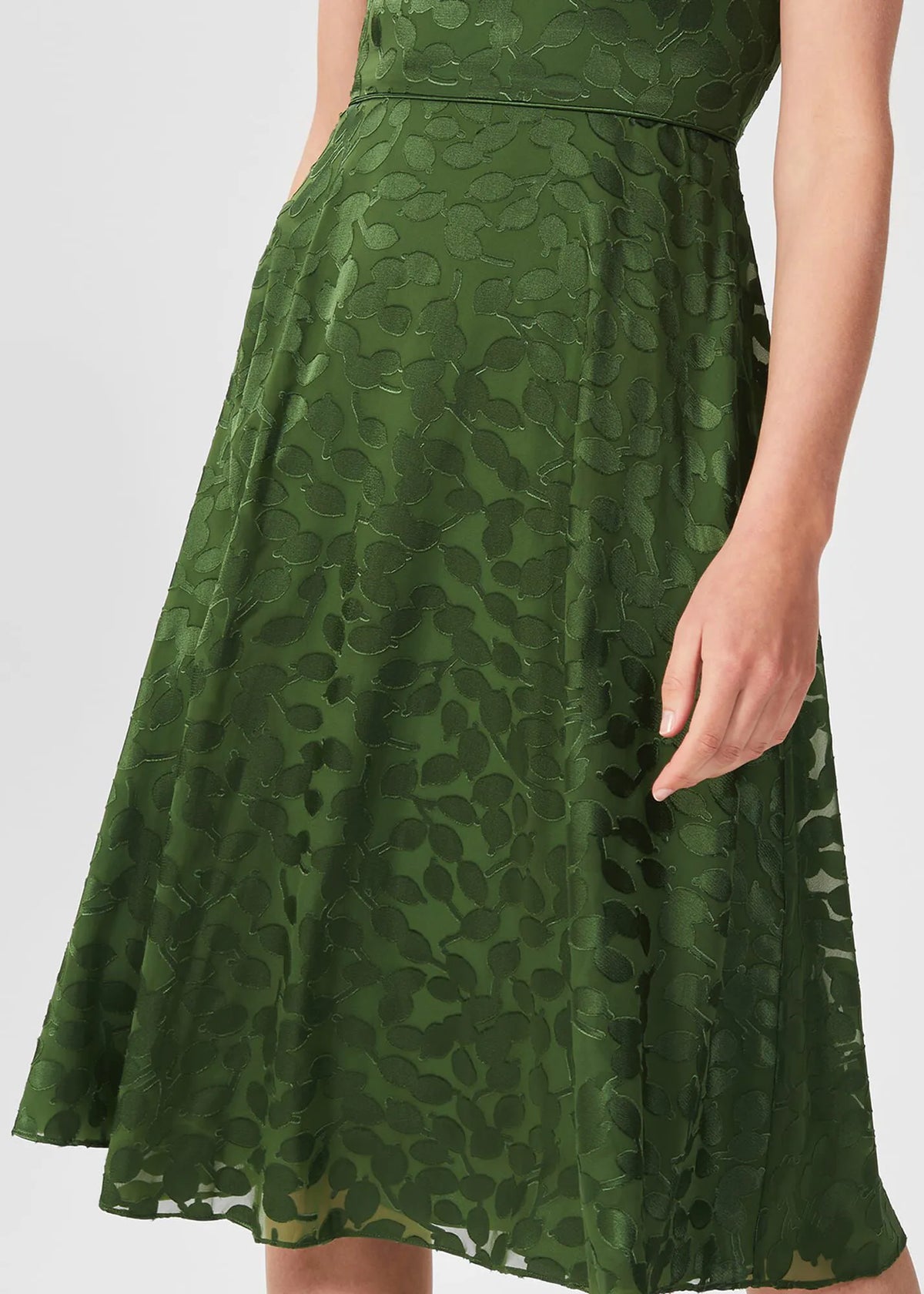 Fern Green