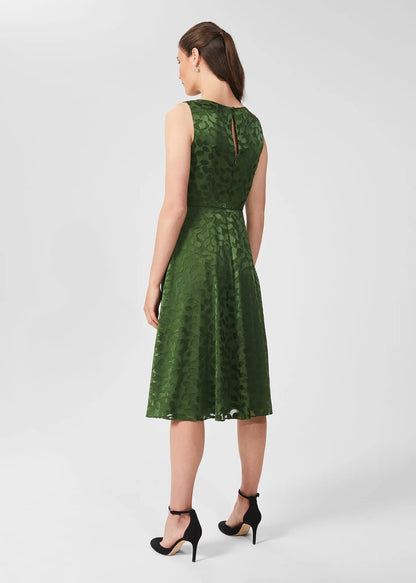 Fern Green