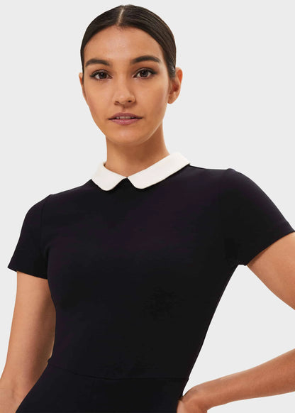 Navy Ivory