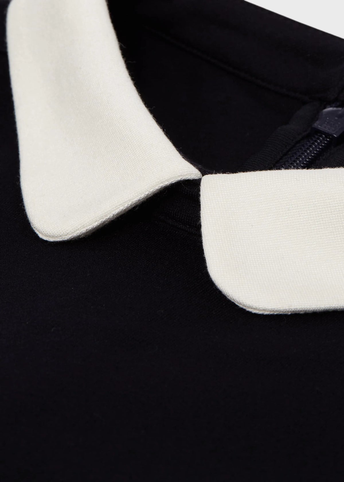 Navy Ivory