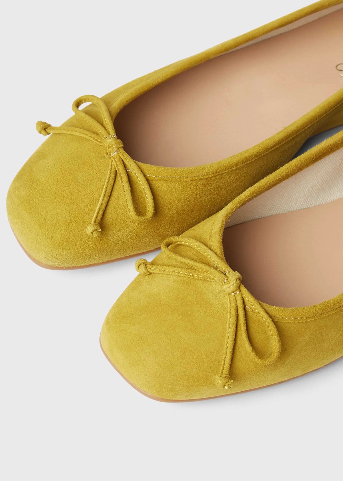 Chartreuse