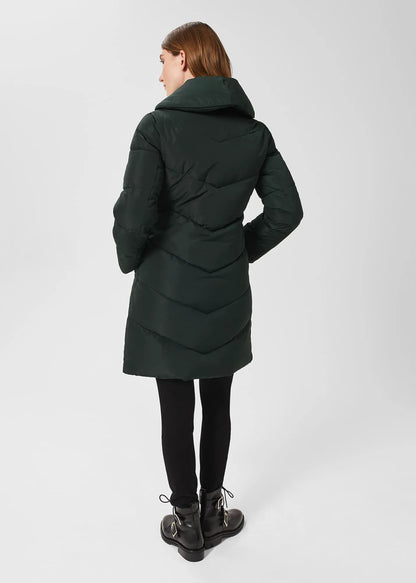 Dark Ivy Green