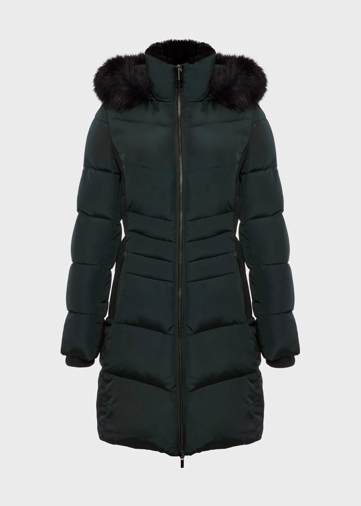 Dark Ivy Green