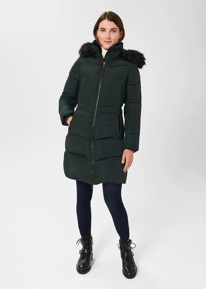 Dark Ivy Green