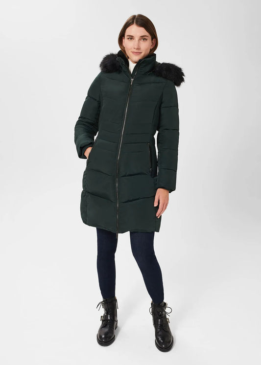 Dark Ivy Green