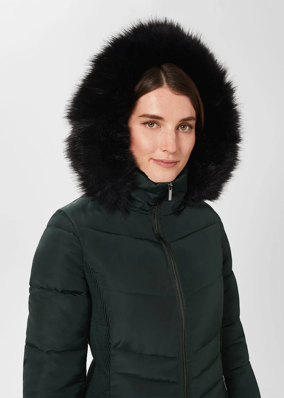 Dark Ivy Green