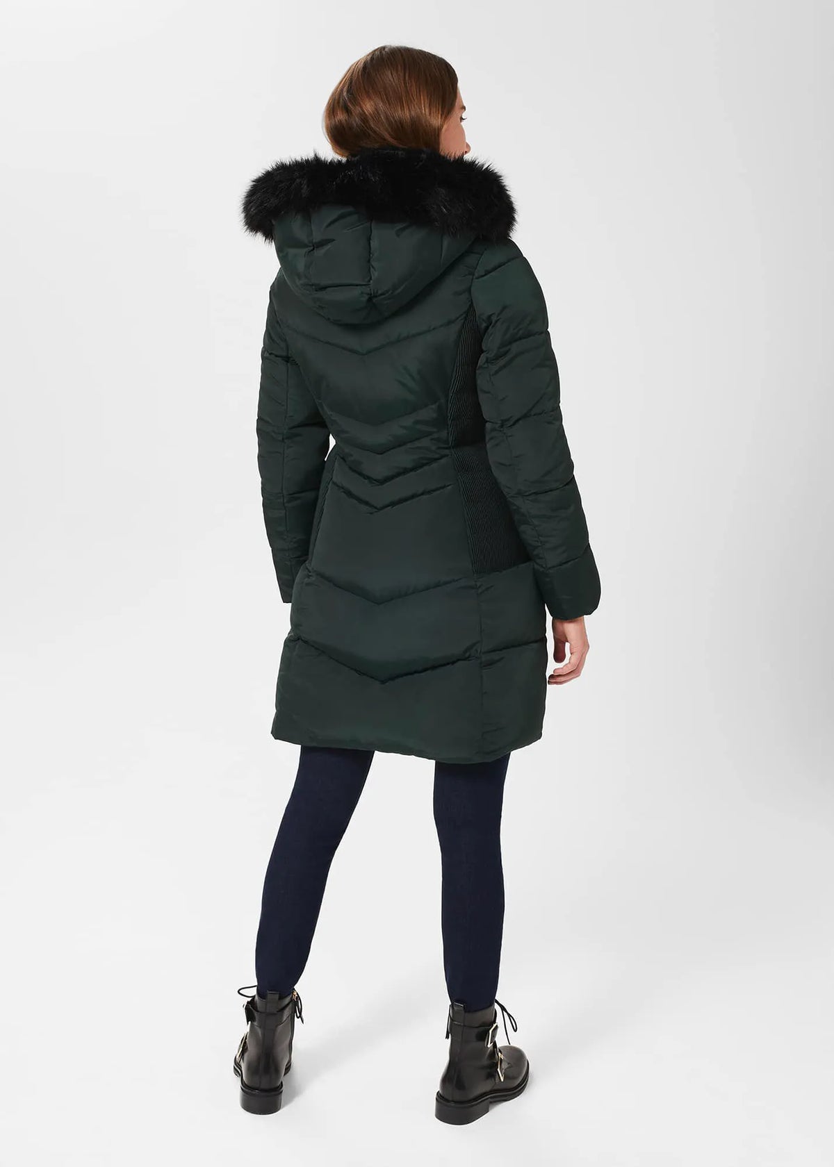 Dark Ivy Green