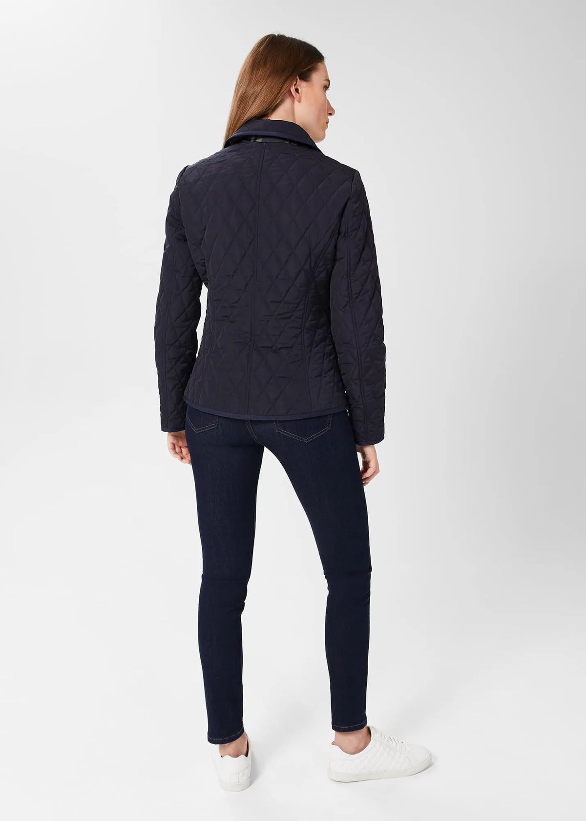 Midnight Navy