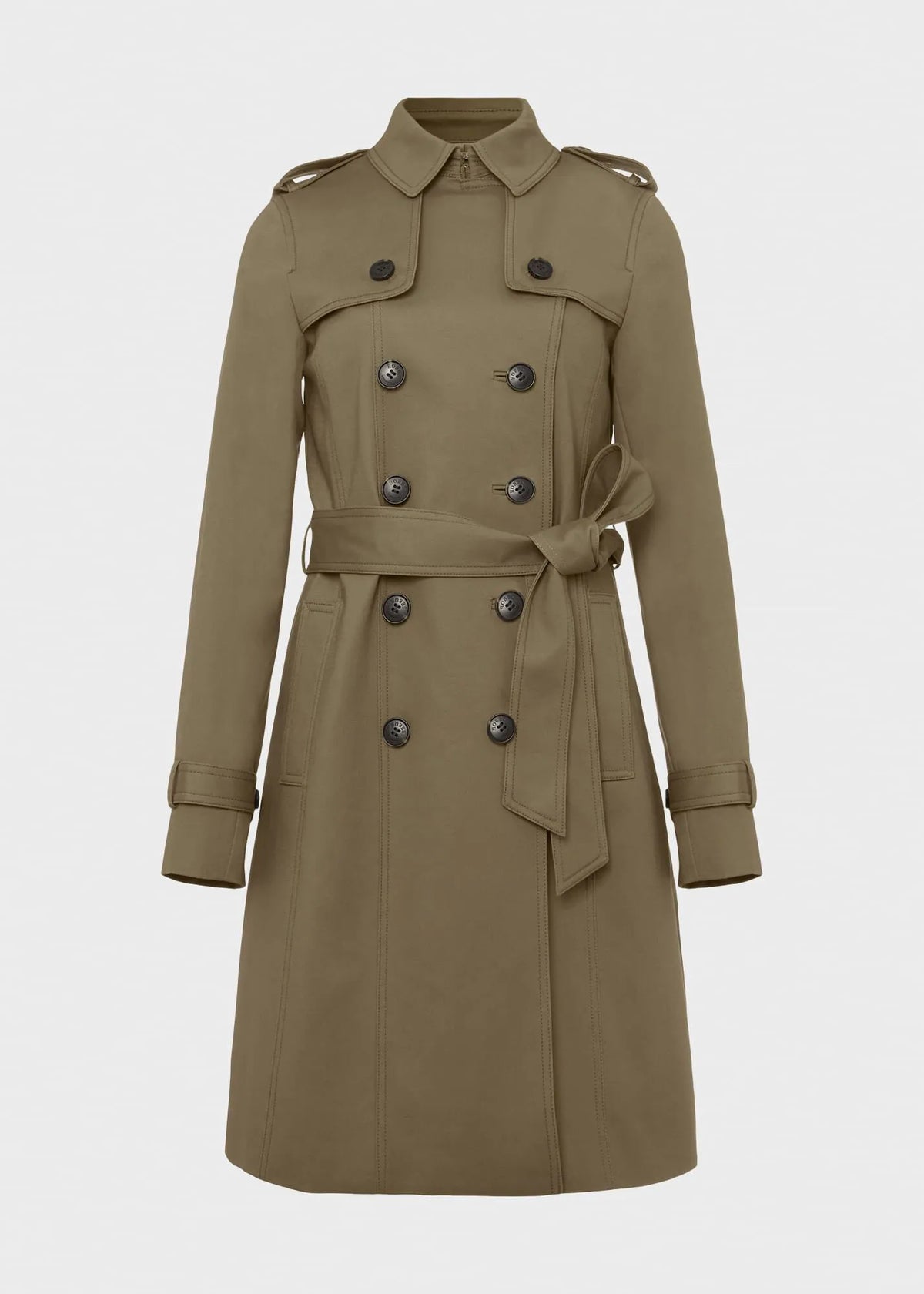 Olive Green