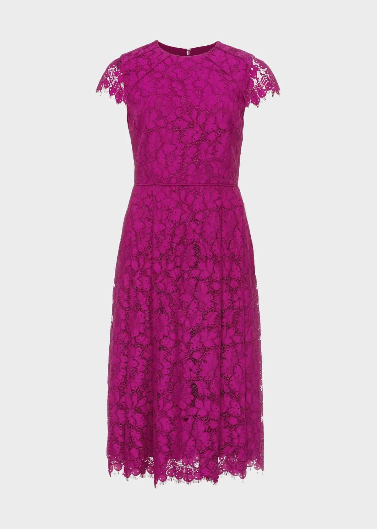 Berry Purple