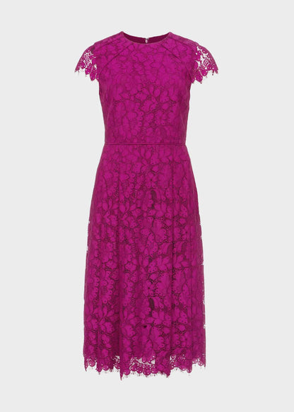 Berry Purple