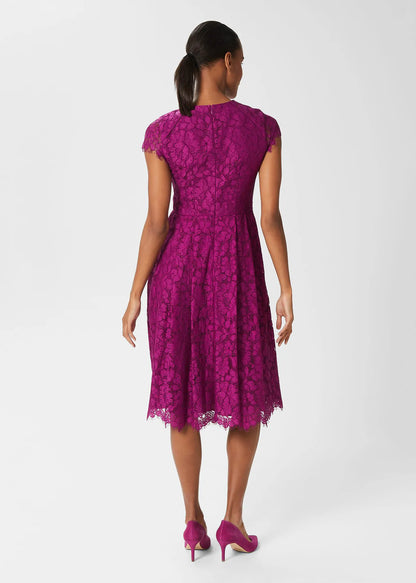 Berry Purple