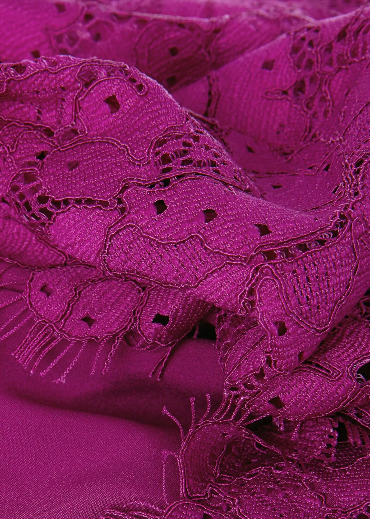 Berry Purple