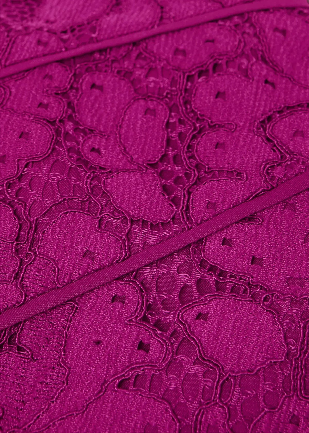 Berry Purple