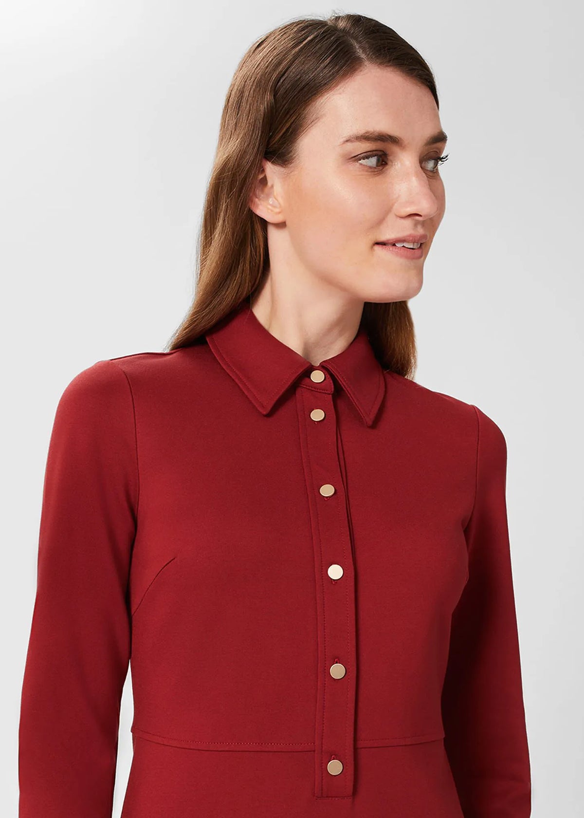Vermillion Red