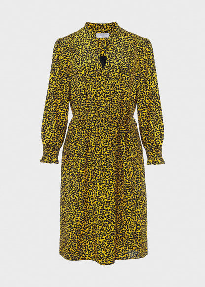 Chartreuse Navy