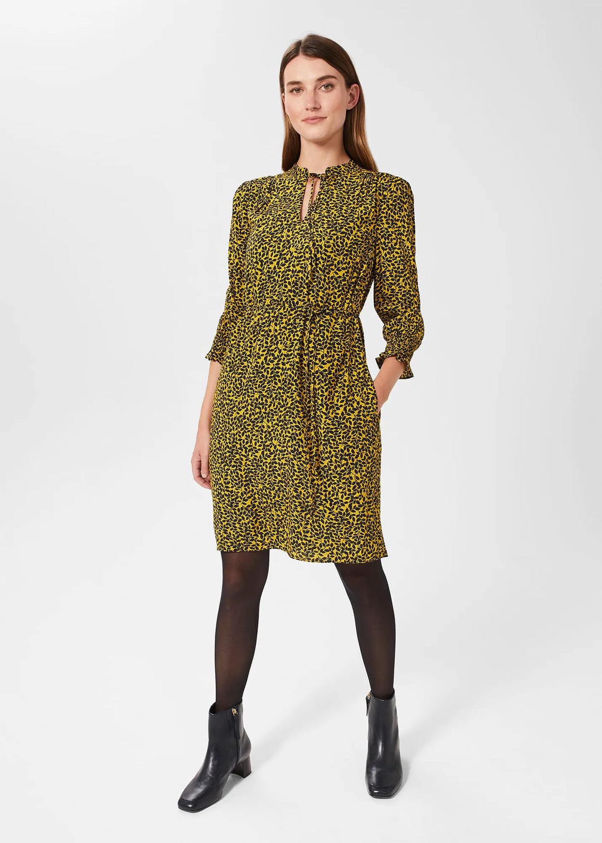 Chartreuse Navy