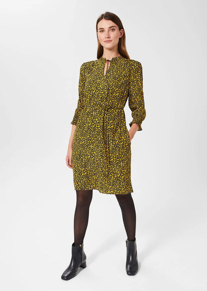 Chartreuse Navy
