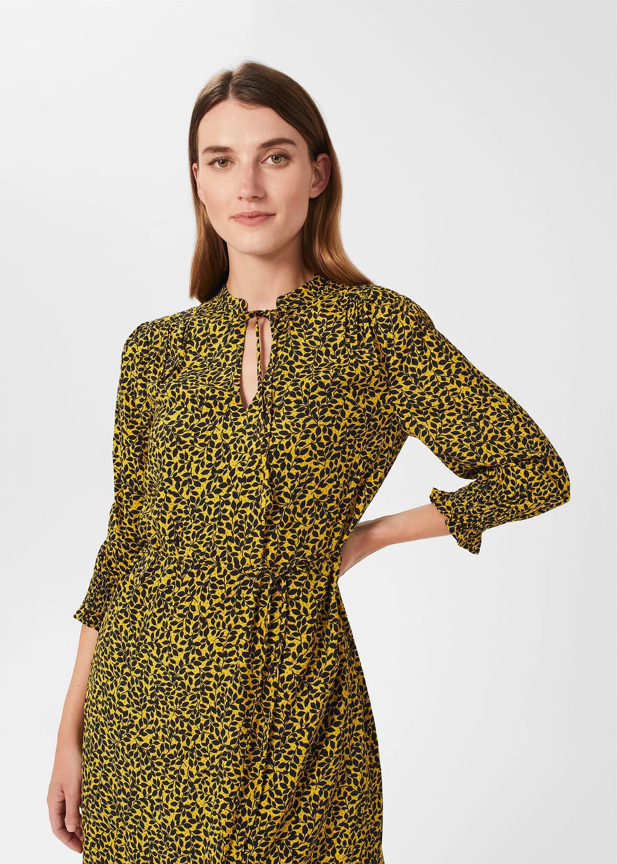 Chartreuse Navy