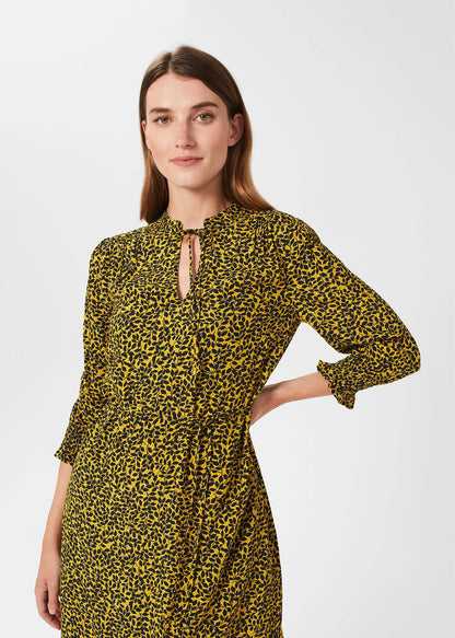 Chartreuse Navy