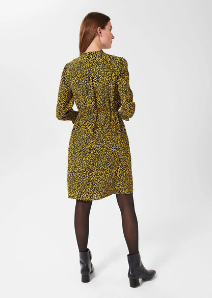 Chartreuse Navy