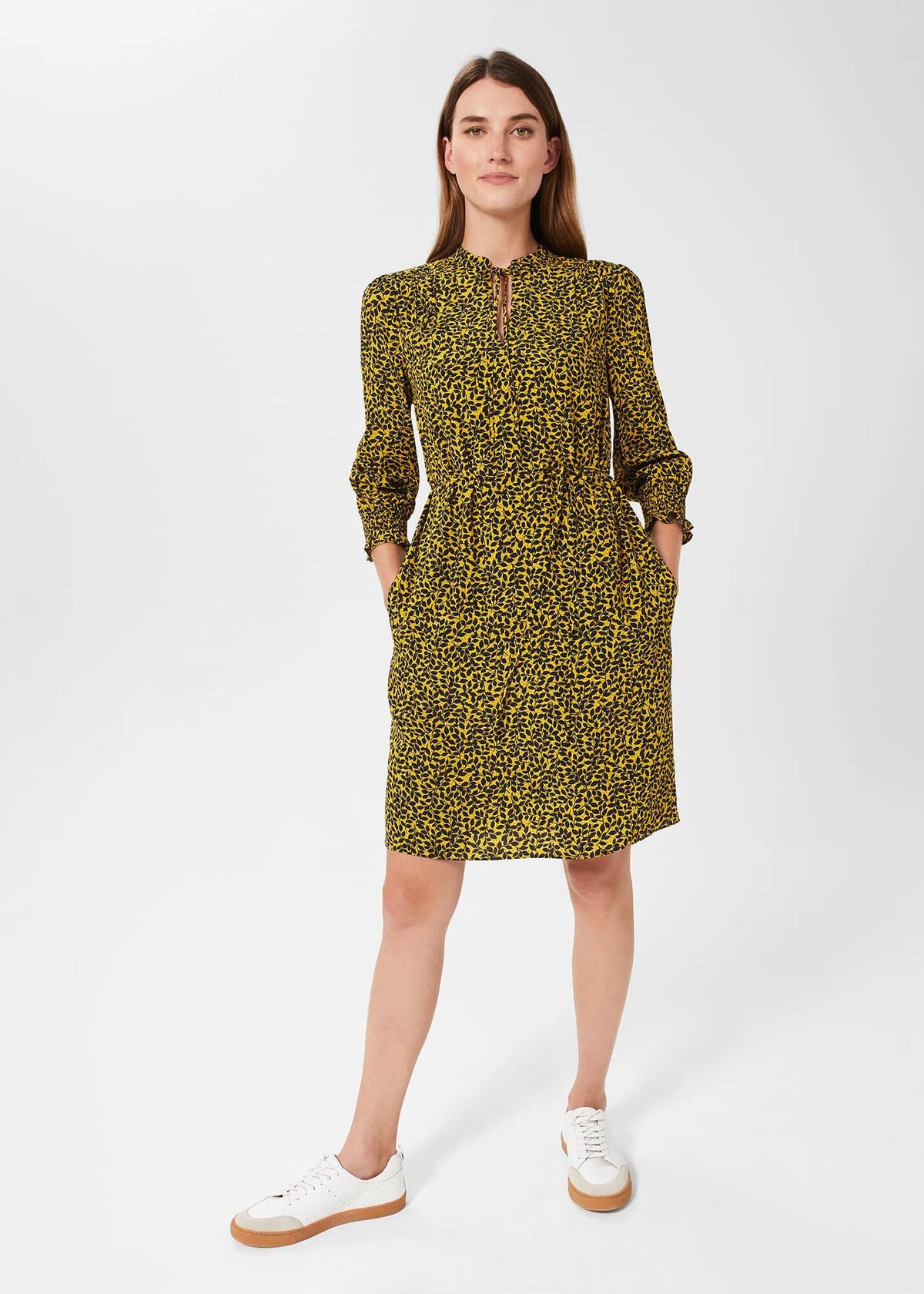 Chartreuse Navy