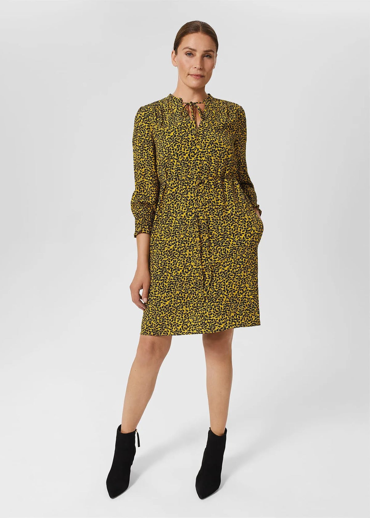Chartreuse Navy