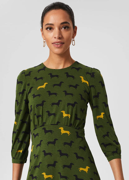 Mid Fern Green