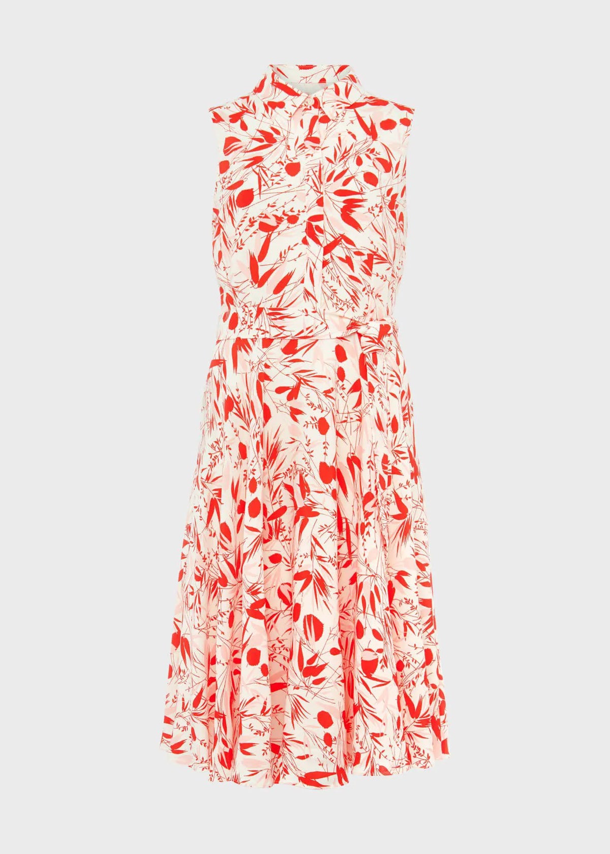 Ivory Multi