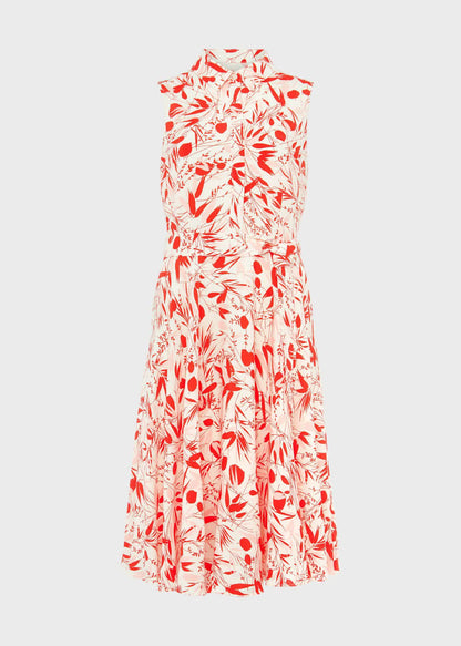 Ivory Multi